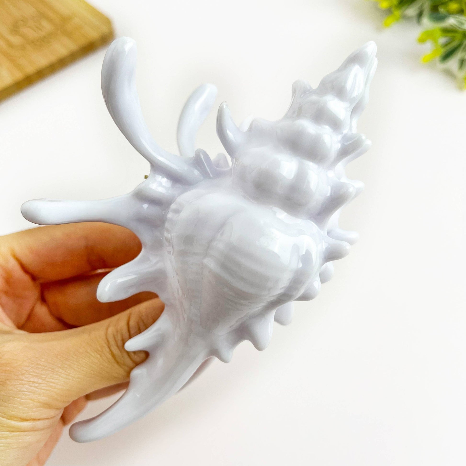 Seashell Hair Claw Clip, Ocean-Inspired Marine Hair Clip-5