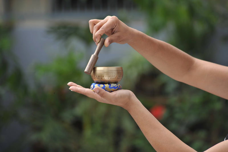 Plain Beaten Double Bajra Tibetan Singing Bowl-zoom-