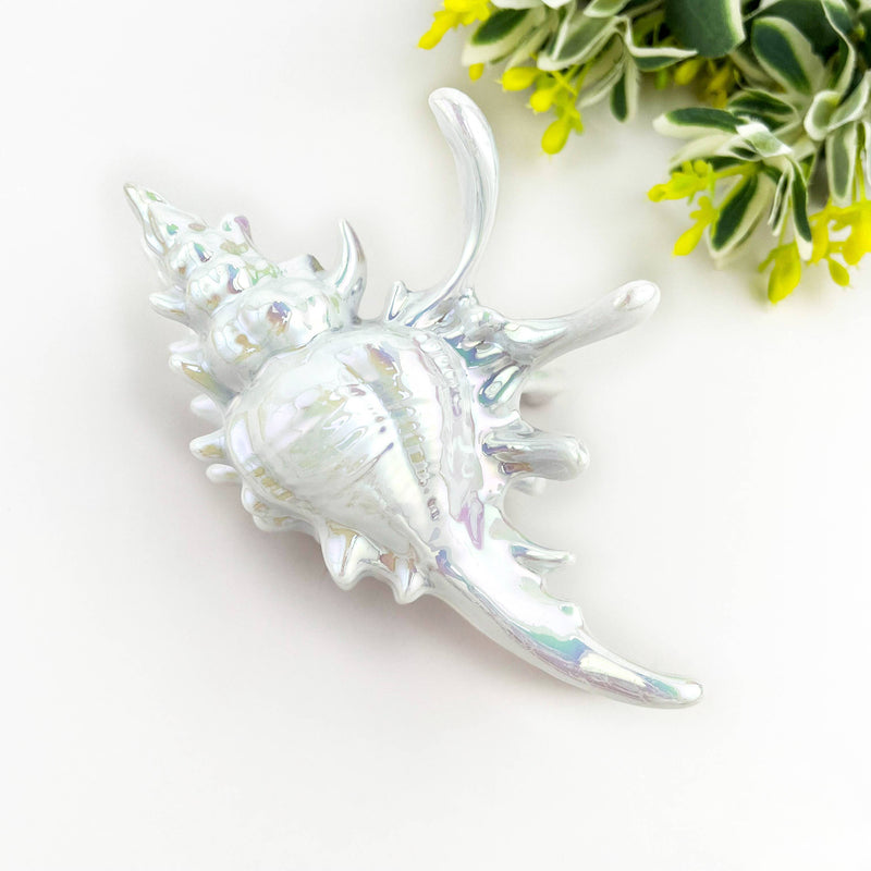 Seashell Hair Claw Clip, Ocean-Inspired Marine Hair Clip-zoom-