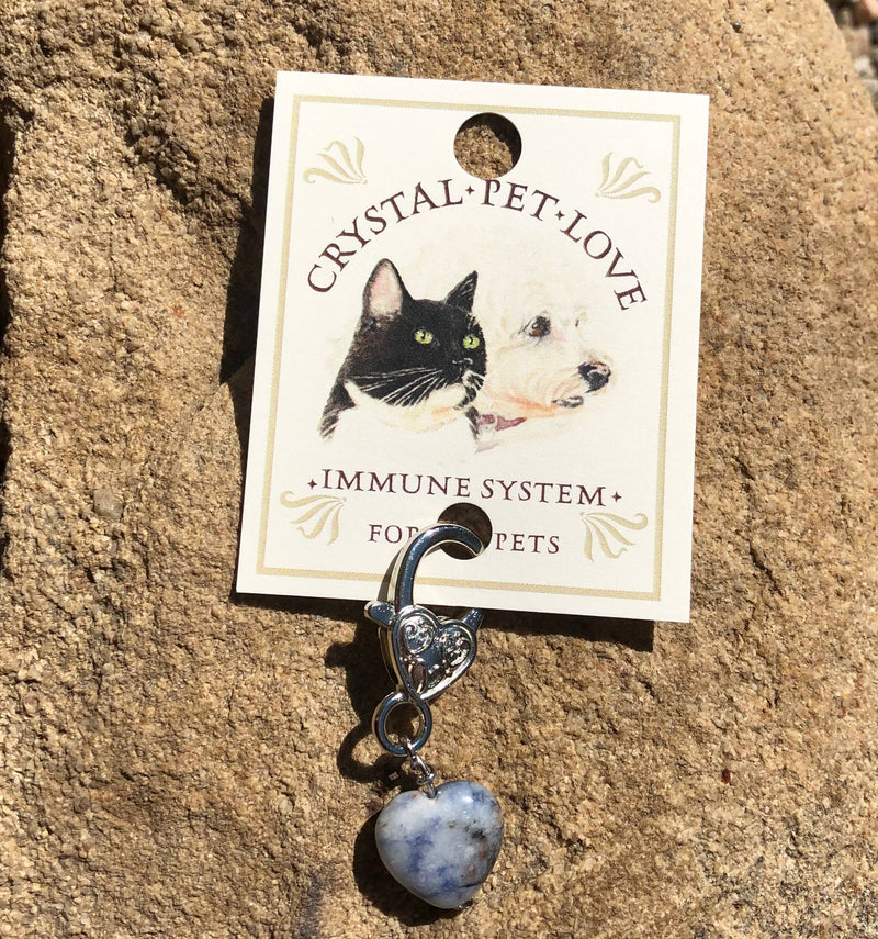 Sodalite heart Crystal Pet Pendant for Holistic Support-zoom-