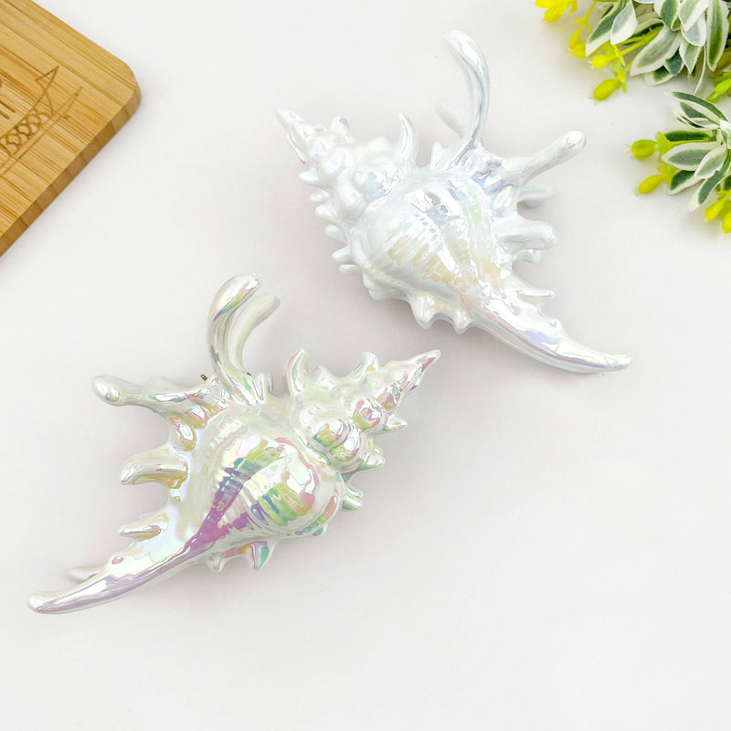 Seashell Hair Claw Clip, Ocean-Inspired Marine Hair Clip-zoom-