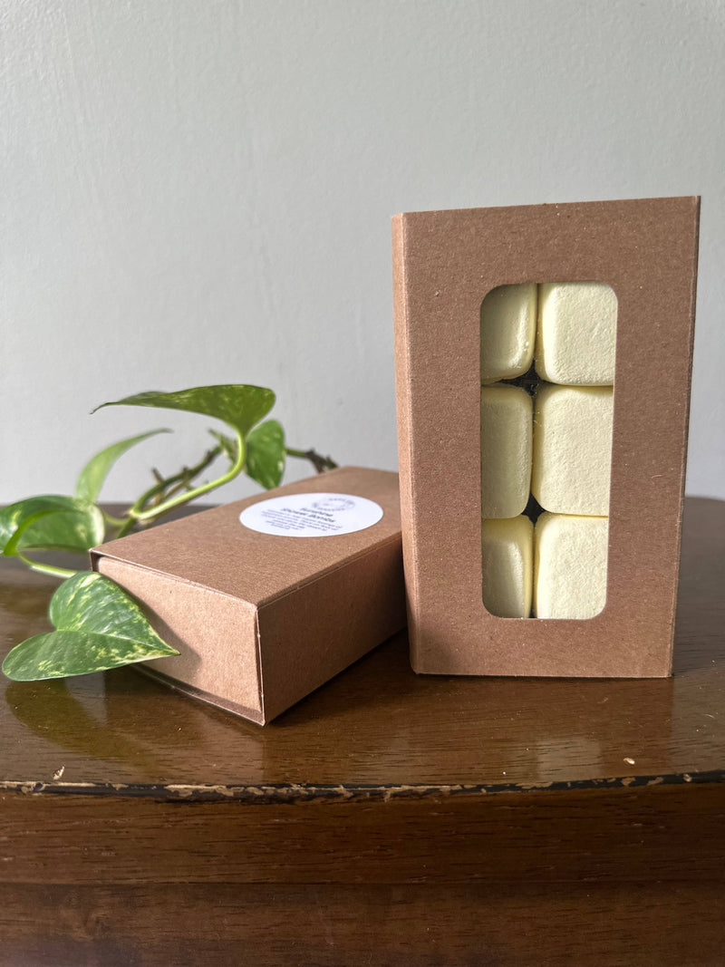 Aromatherapy Shower Steamers – Spa in Your Shower-zoom-