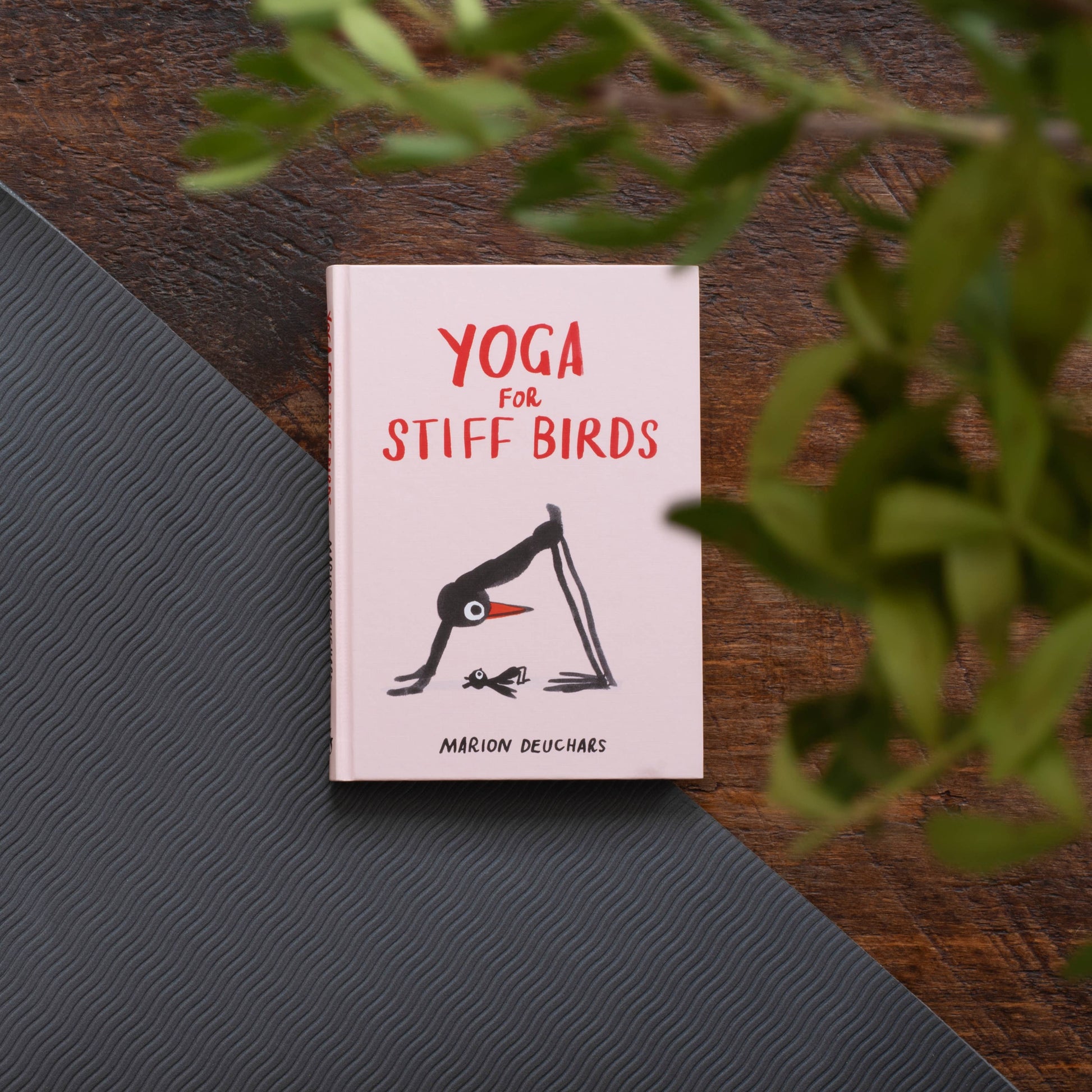 Yoga for Stiff Birds-3