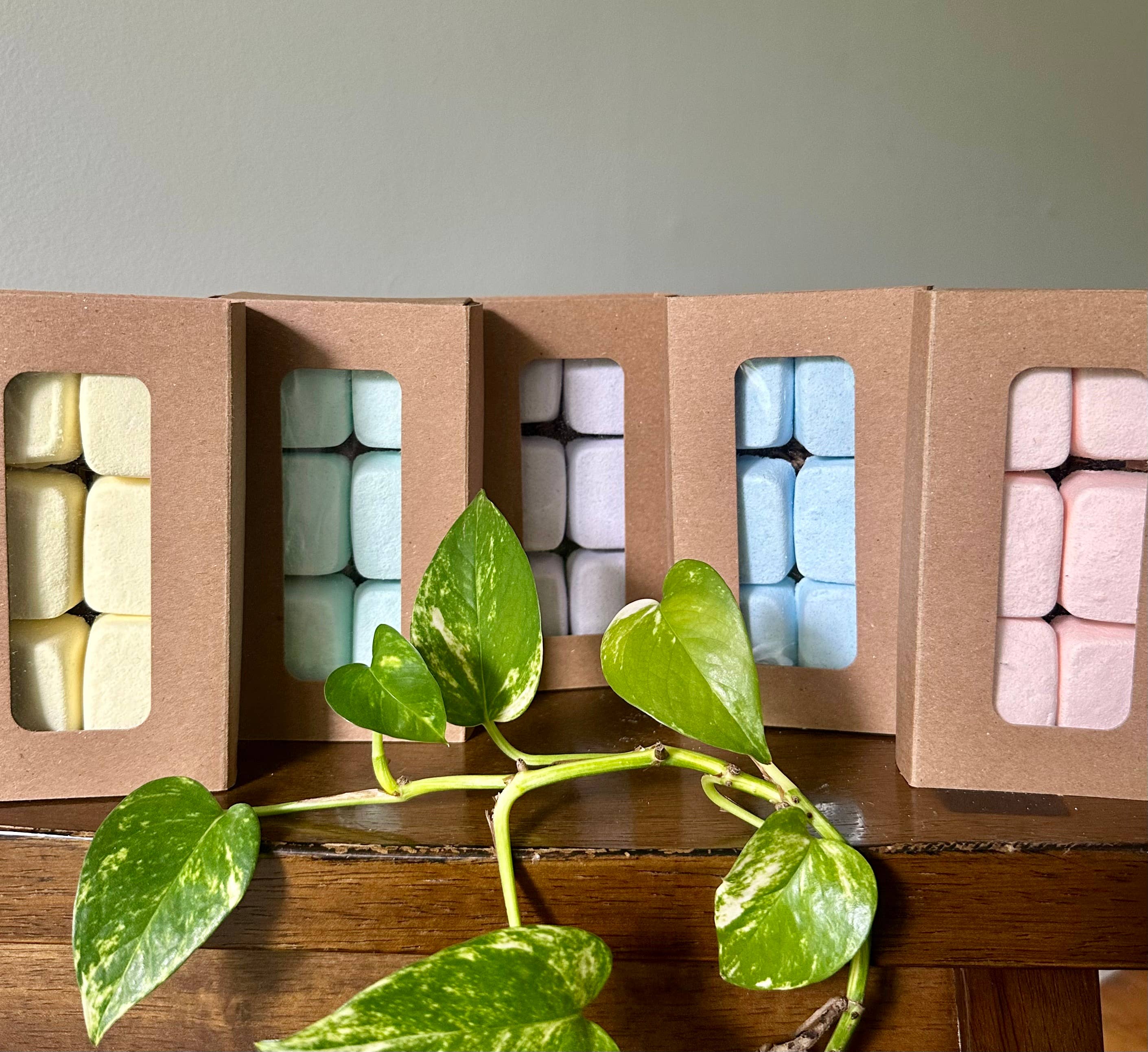 Aromatherapy Shower Steamers – Spa in Your Shower