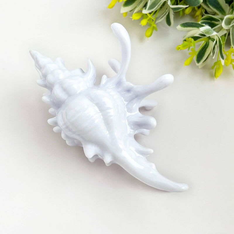 Seashell Hair Claw Clip, Ocean-Inspired Marine Hair Clip-zoom-