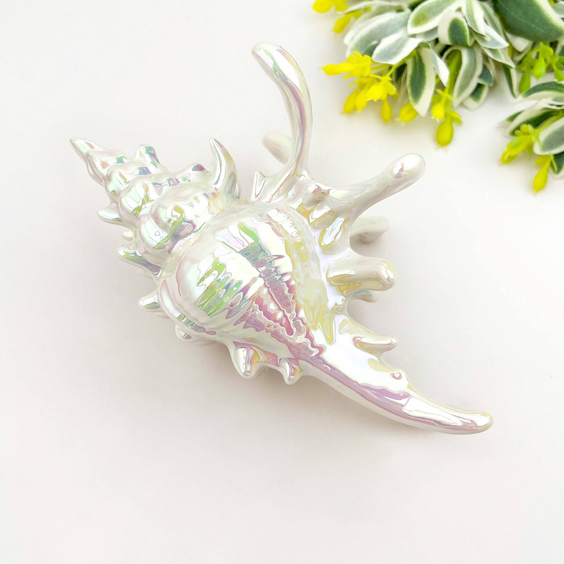 Seashell Hair Claw Clip, Ocean-Inspired Marine Hair Clip-4