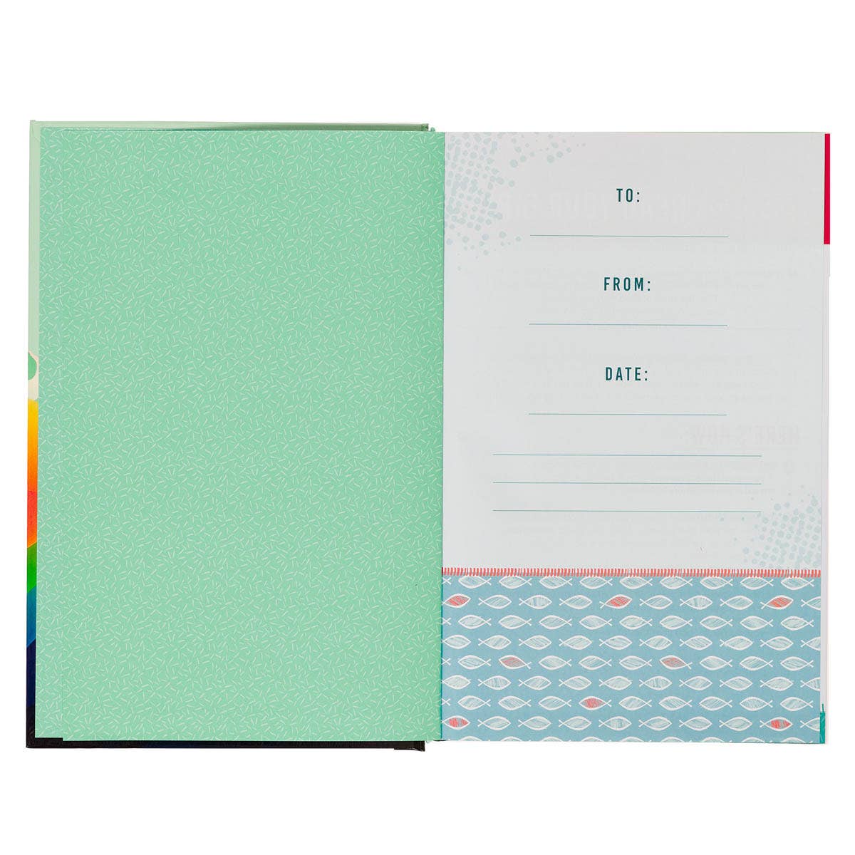 COLORFUL KID'S KING JAMES VERSION BIBLE (HARDCOVER)-zoom-4